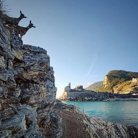 La Casetta Della Nini - Explore And Cinque Terre Apartman La Spezia