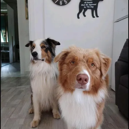 Apartman La Casetta Della Nini - Explore And Cinque Terre La Spezia